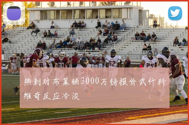 热刺对布莱顿3000万镑报价武什科维奇反应冷淡